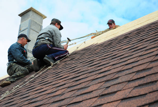 Roof Gutter Cleaning in Locust, NC
